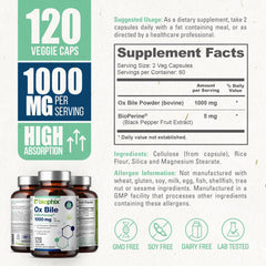 Graphic illustrating digestive enzyme support
