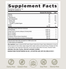 BIOptimizers 30 servings pouch showcases practical daily ritual.