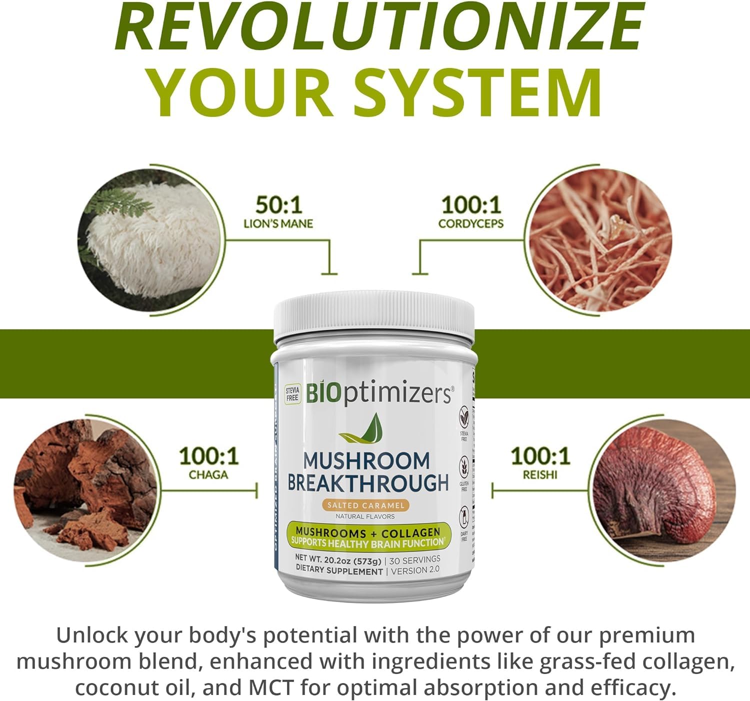 Adaptogenic mushrooms for stress support and calm