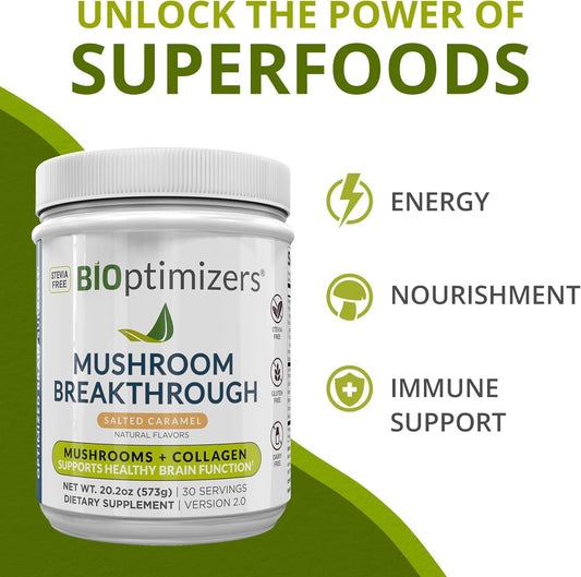 Lion's Mane, Chaga, and Reishi mushroom powder blend