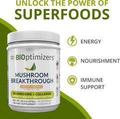 Lion's Mane, Chaga, and Reishi mushroom powder blend
