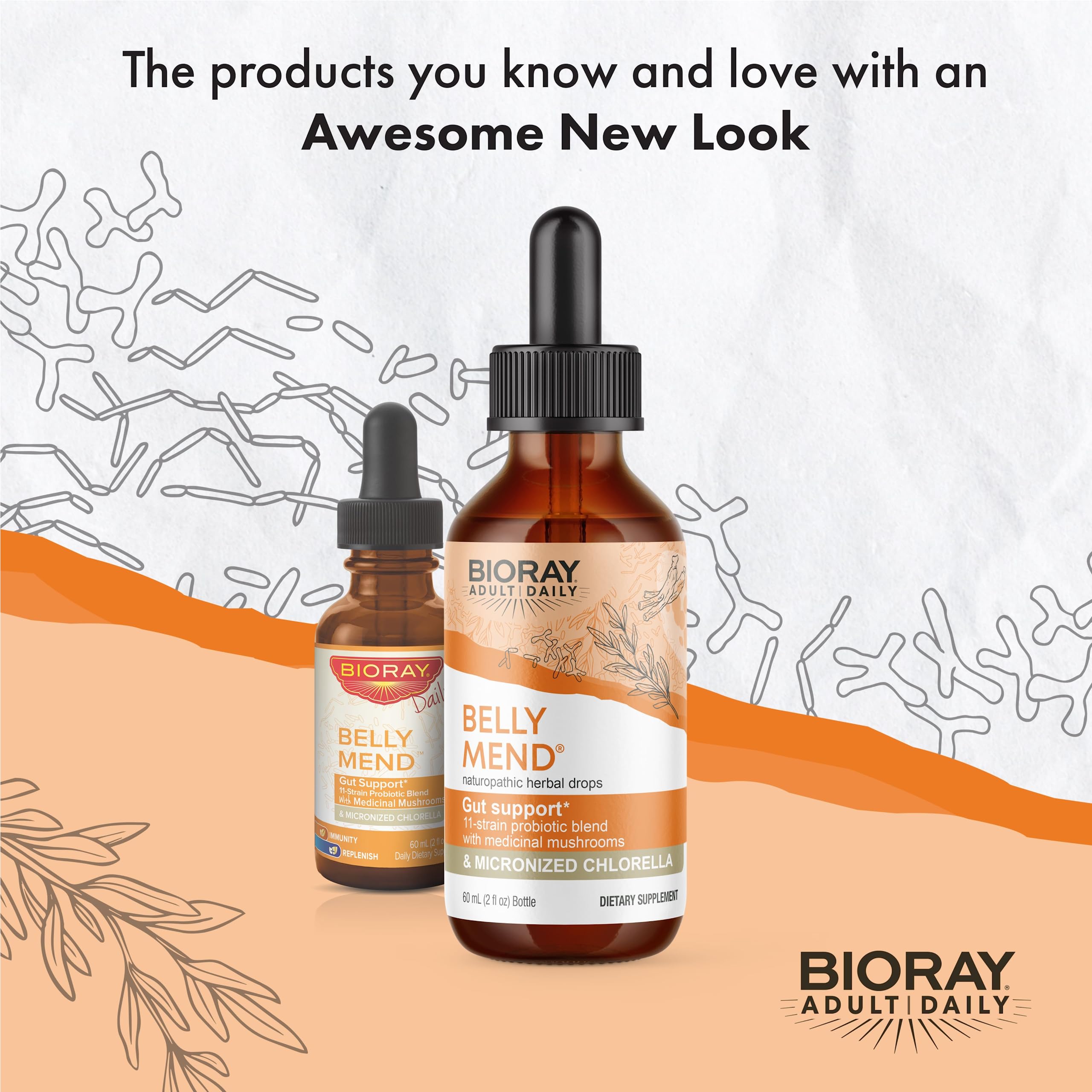 Illustration of gut health benefits and digestive support from BIORAY Daily Belly Mend