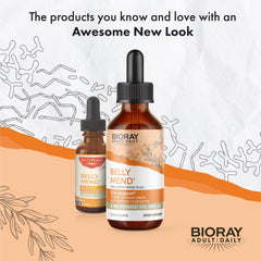 Illustration of gut health benefits and digestive support from BIORAY Daily Belly Mend