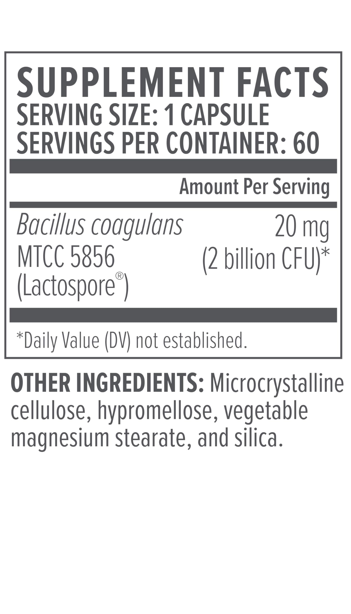 Graphic illustrating gut health and probiotic support