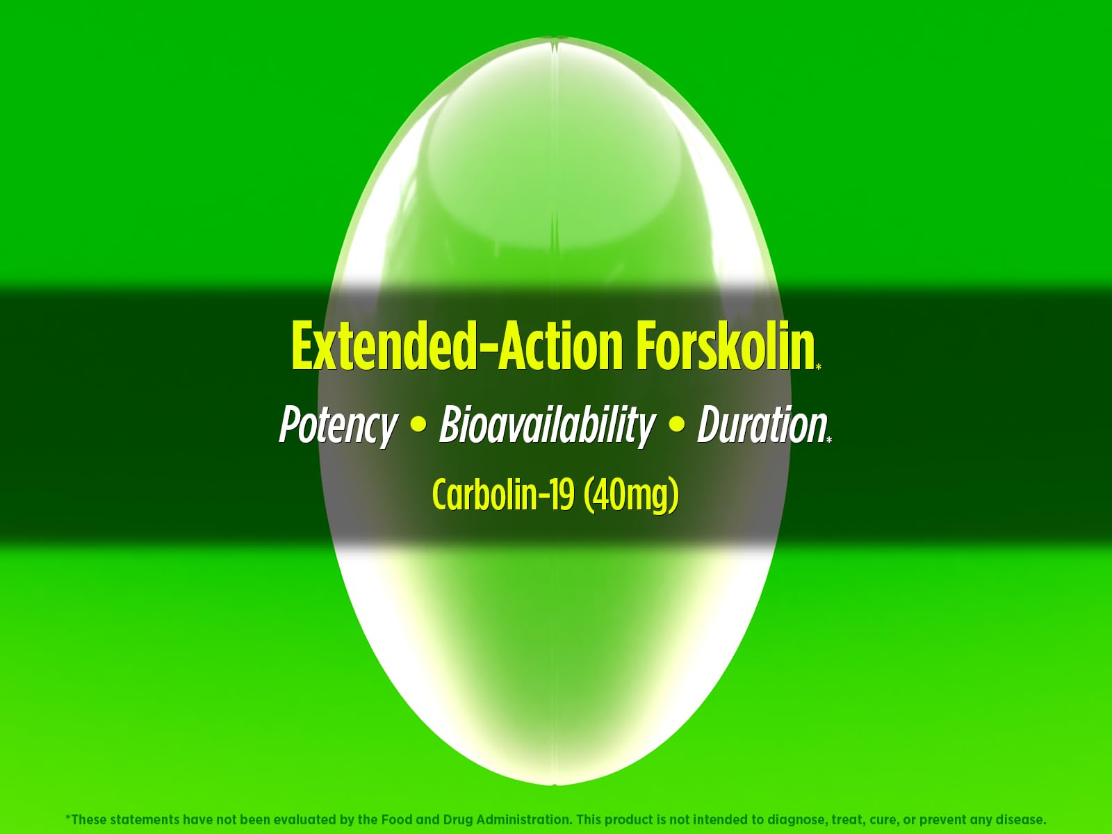 Graphic highlighting fat metabolism and energy support