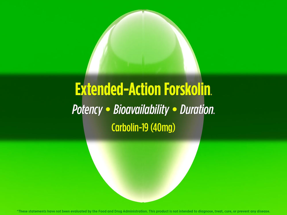 Graphic highlighting fat metabolism and energy support