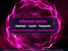 Biotest Superfood maqui anthocyanins powder rich in polyphenols for wellness.