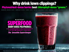 Biotest Superfood raspberry anthocyanins powder adds color and polyphenols.