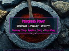 Biotest Superfood strawberry anthocyanins powder convenient daily polyphenol source.