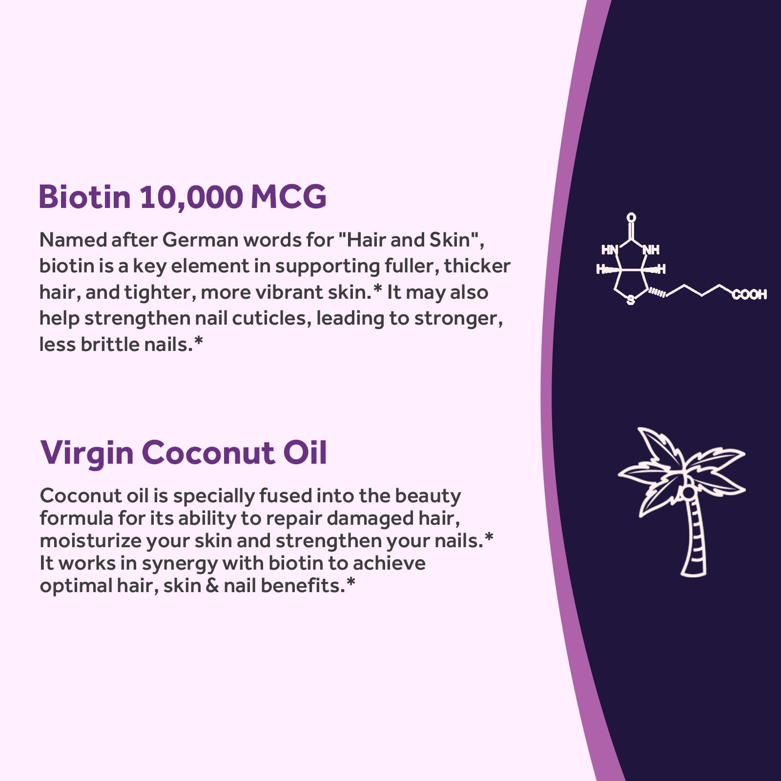 Illustration of hair, skin and nails benefiting from biotin