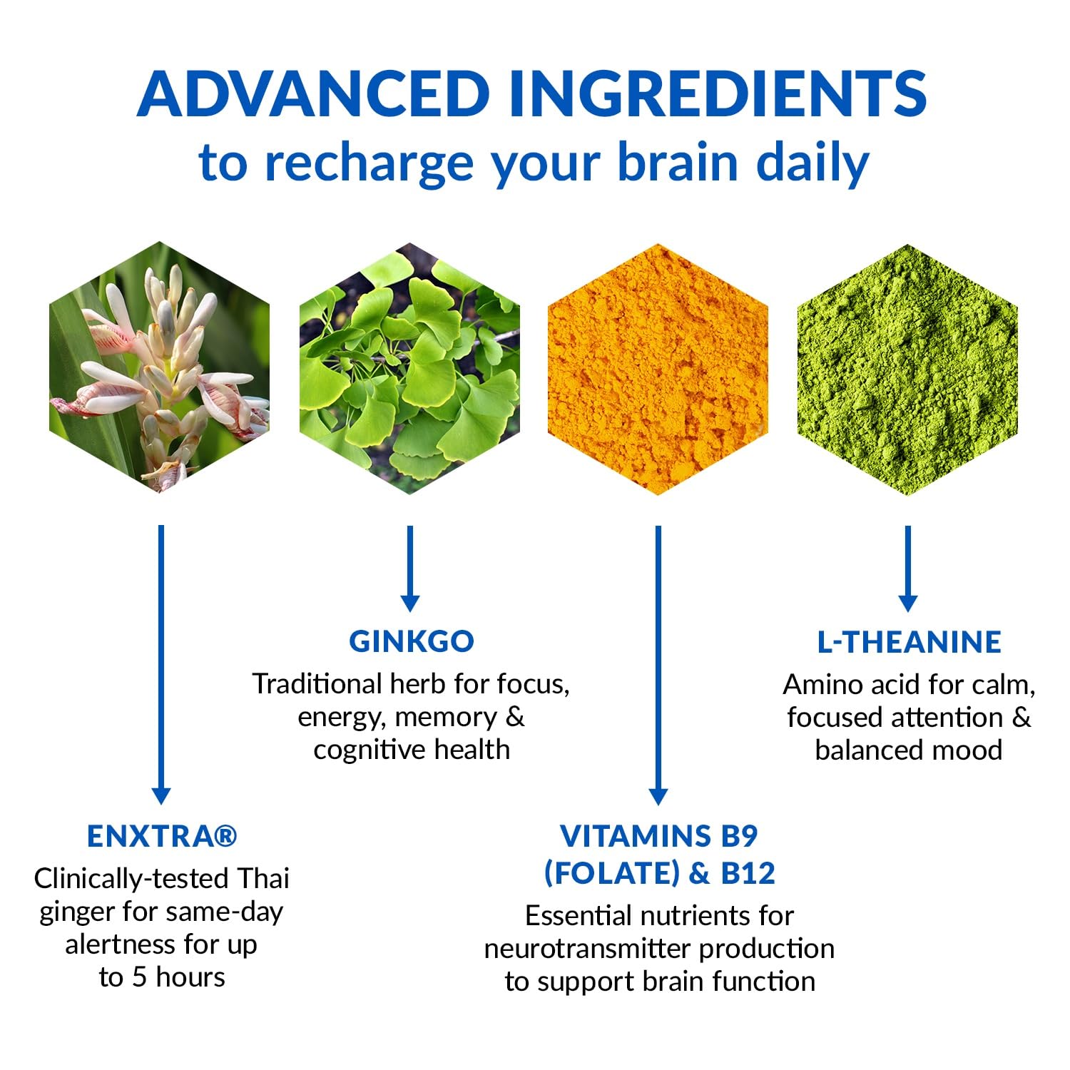 Ingredients featuring Thai ginger (enXtra) and ginkgo