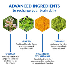 Ingredients featuring Thai ginger (enXtra) and ginkgo