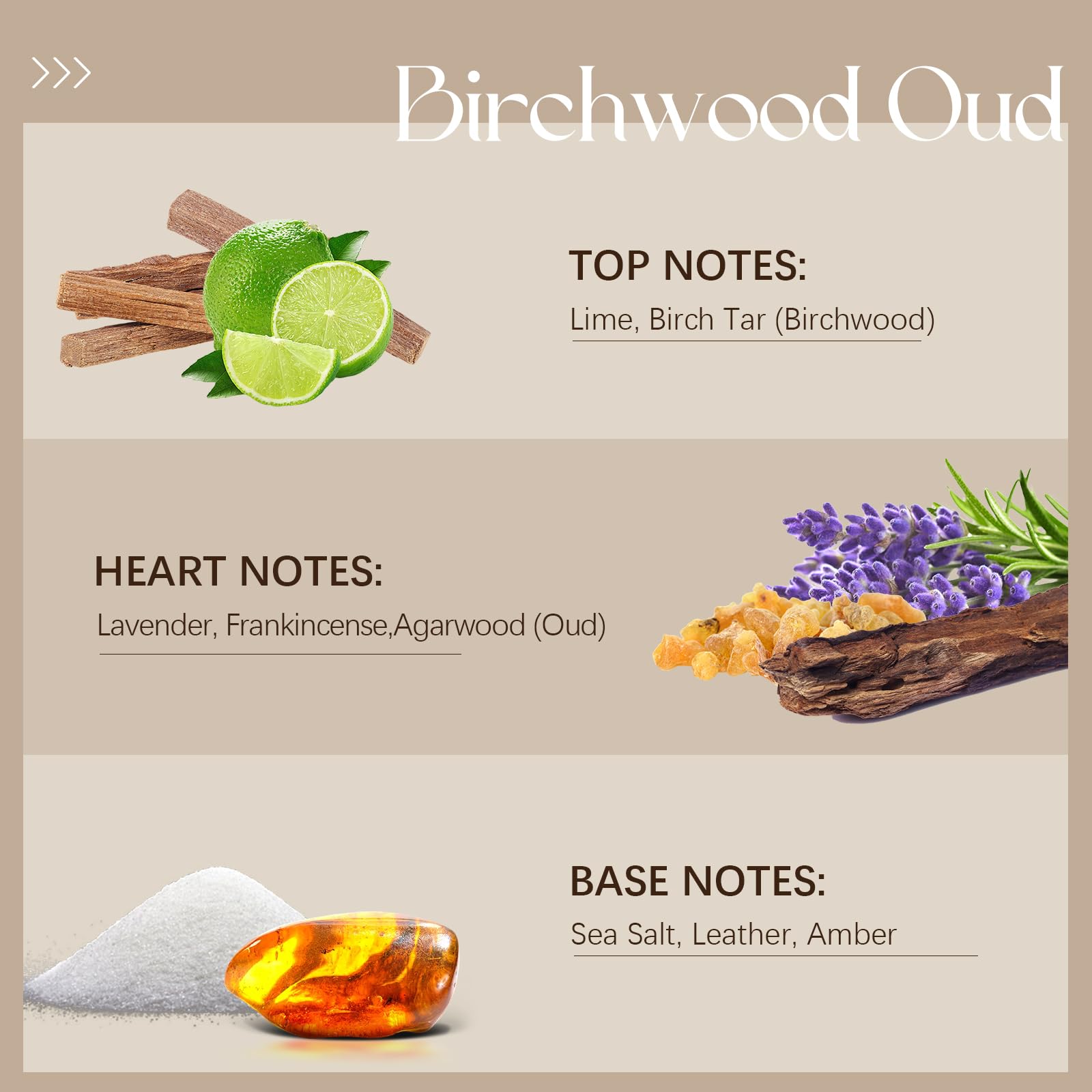 Woodsy notes graphic featuring birchwood and oud with cedar and amber