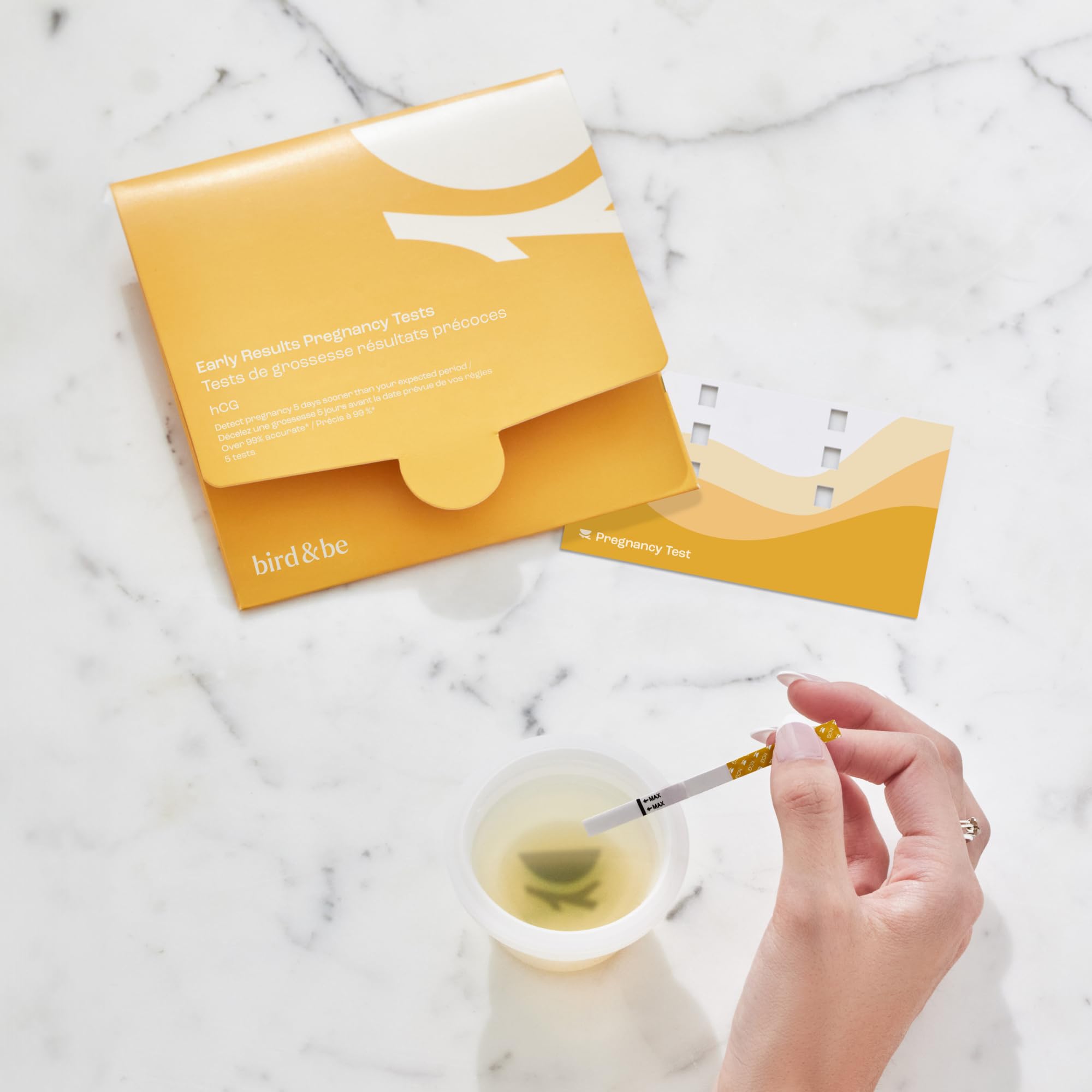 Bird&Be logo with product name