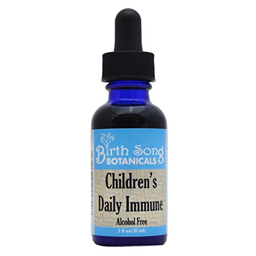 Front view of Birth Song Botanicals Children's Immune Tincture bottle (1oz)