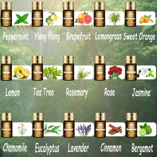 Front view of BISIRBAT 15-piece essential oil set