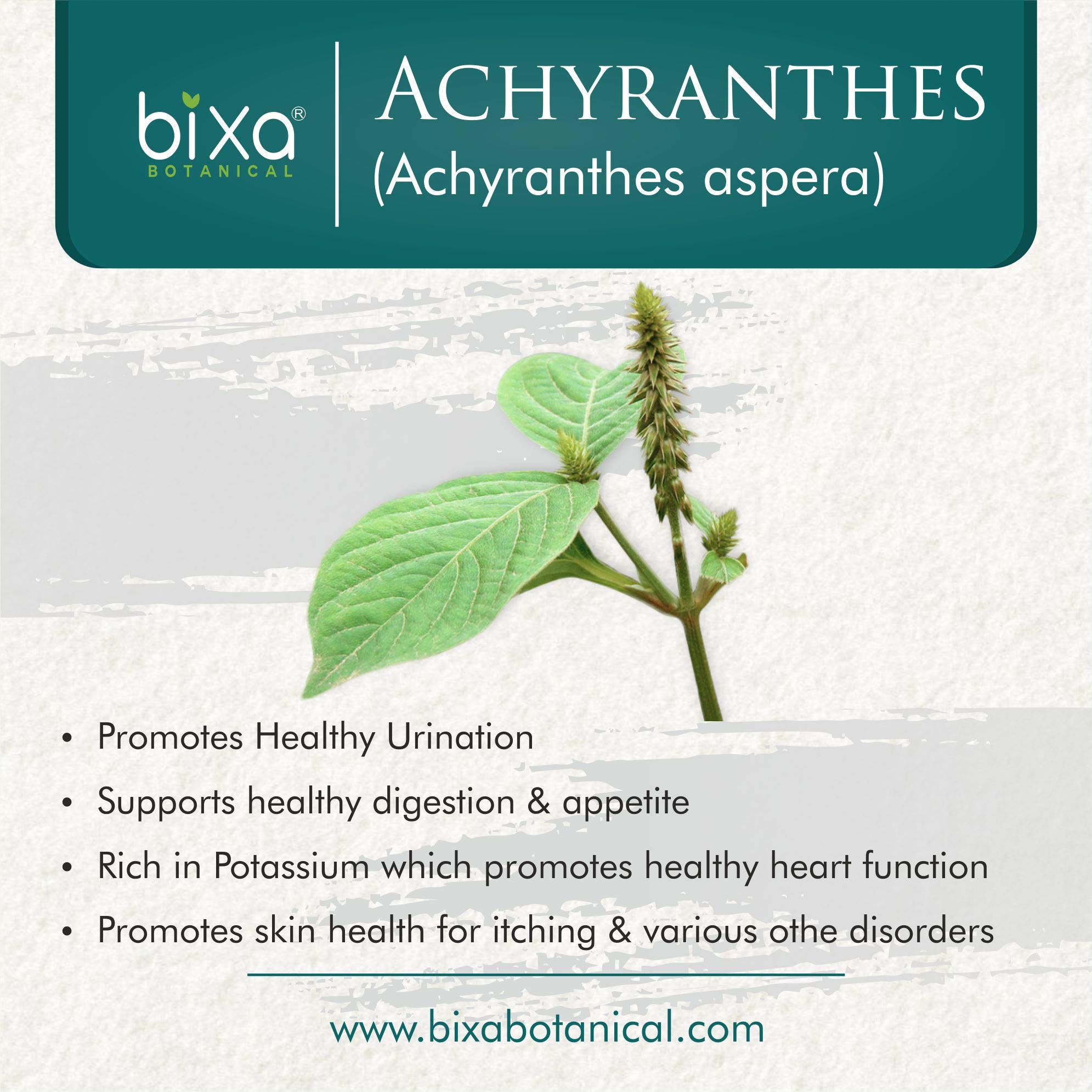 Close-up of Achyranthes aspera powder texture