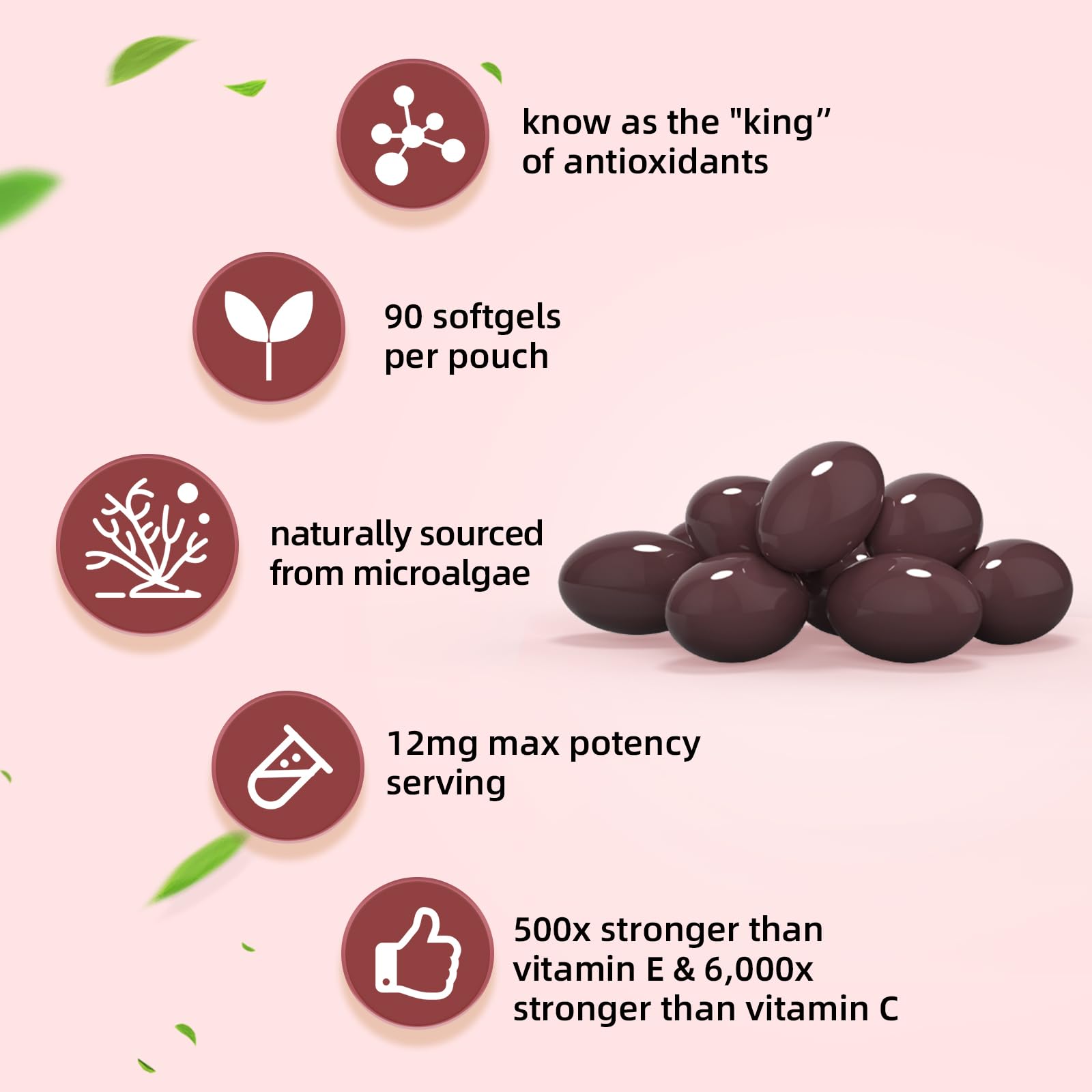 Haematococcus pluvialis microalgae illustration for astaxanthin source