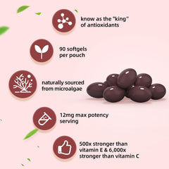 Haematococcus pluvialis microalgae illustration for astaxanthin source