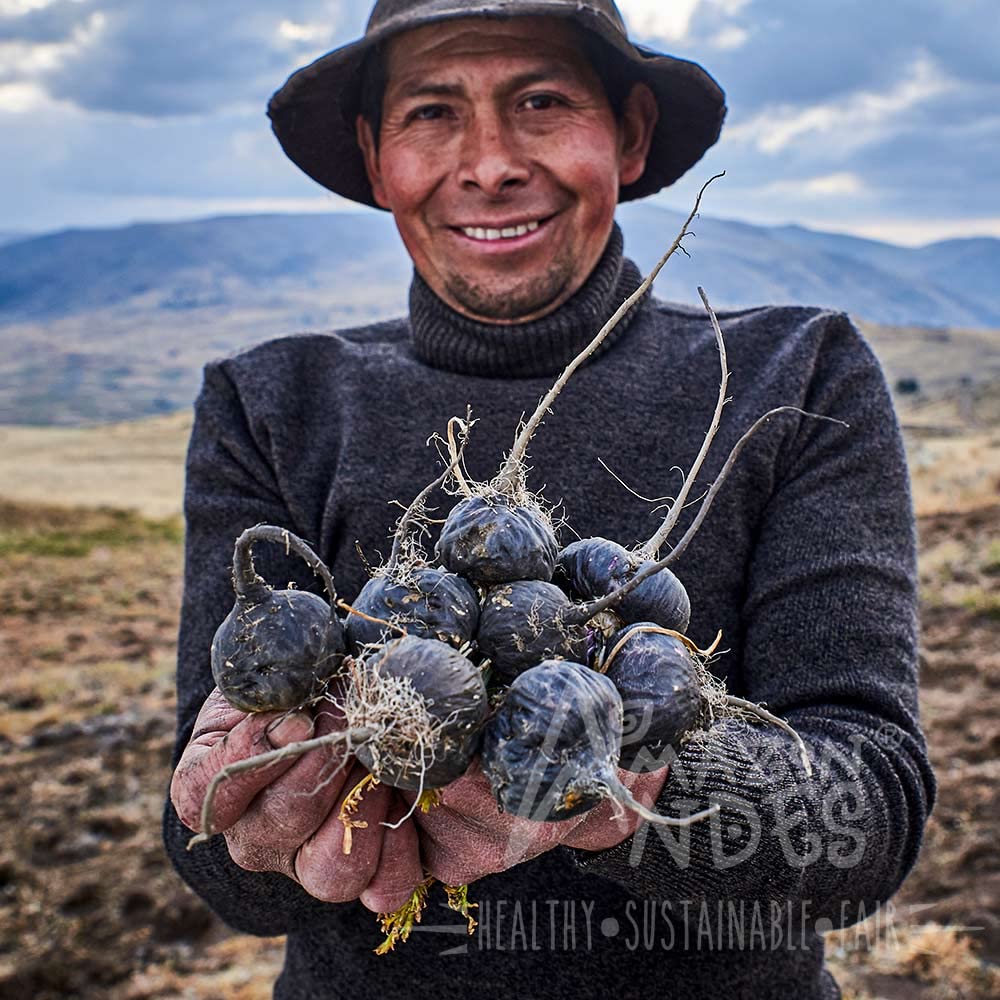 Lifestyle image depicting energy and vitality associated with maca