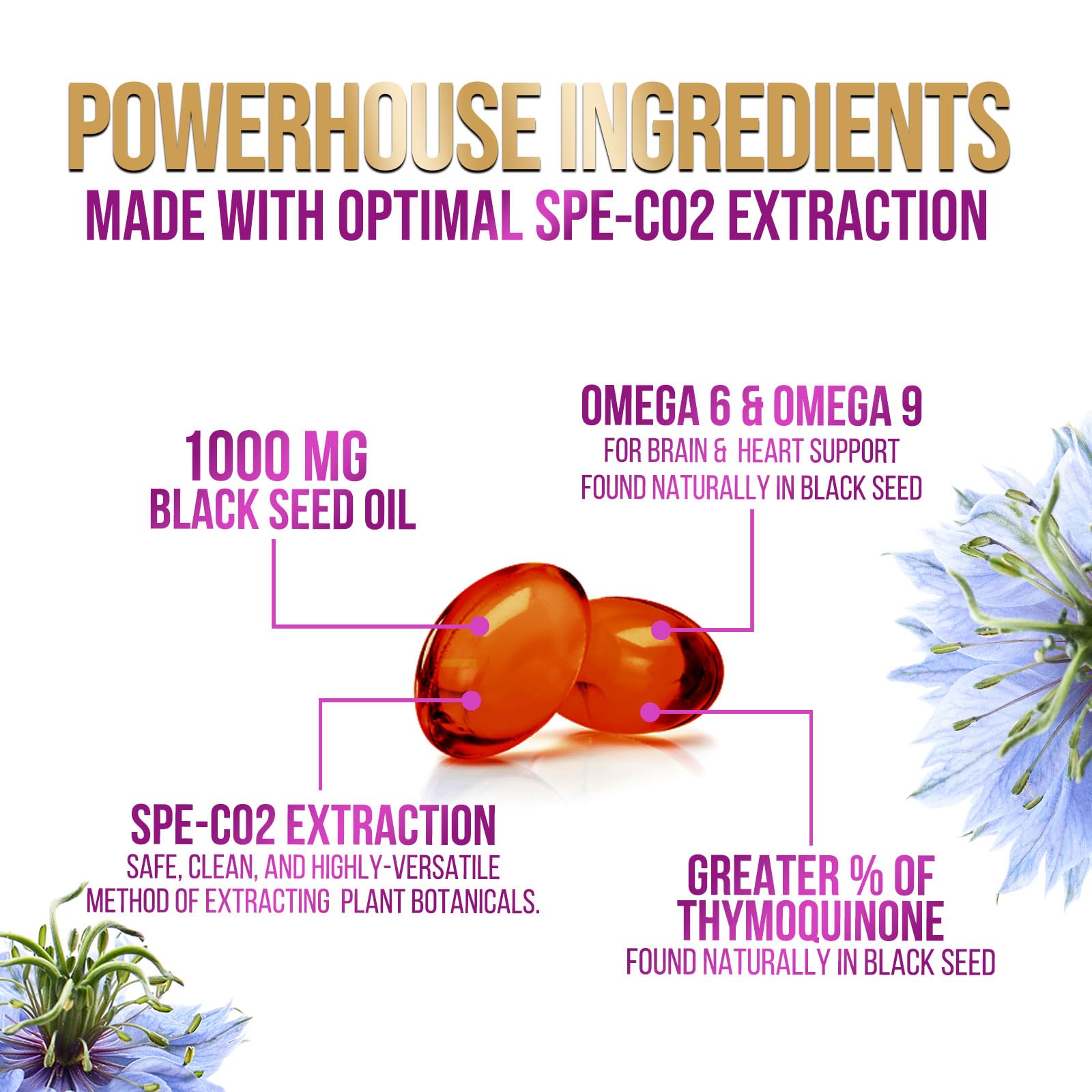 Digestive health support with black seed oil softgels