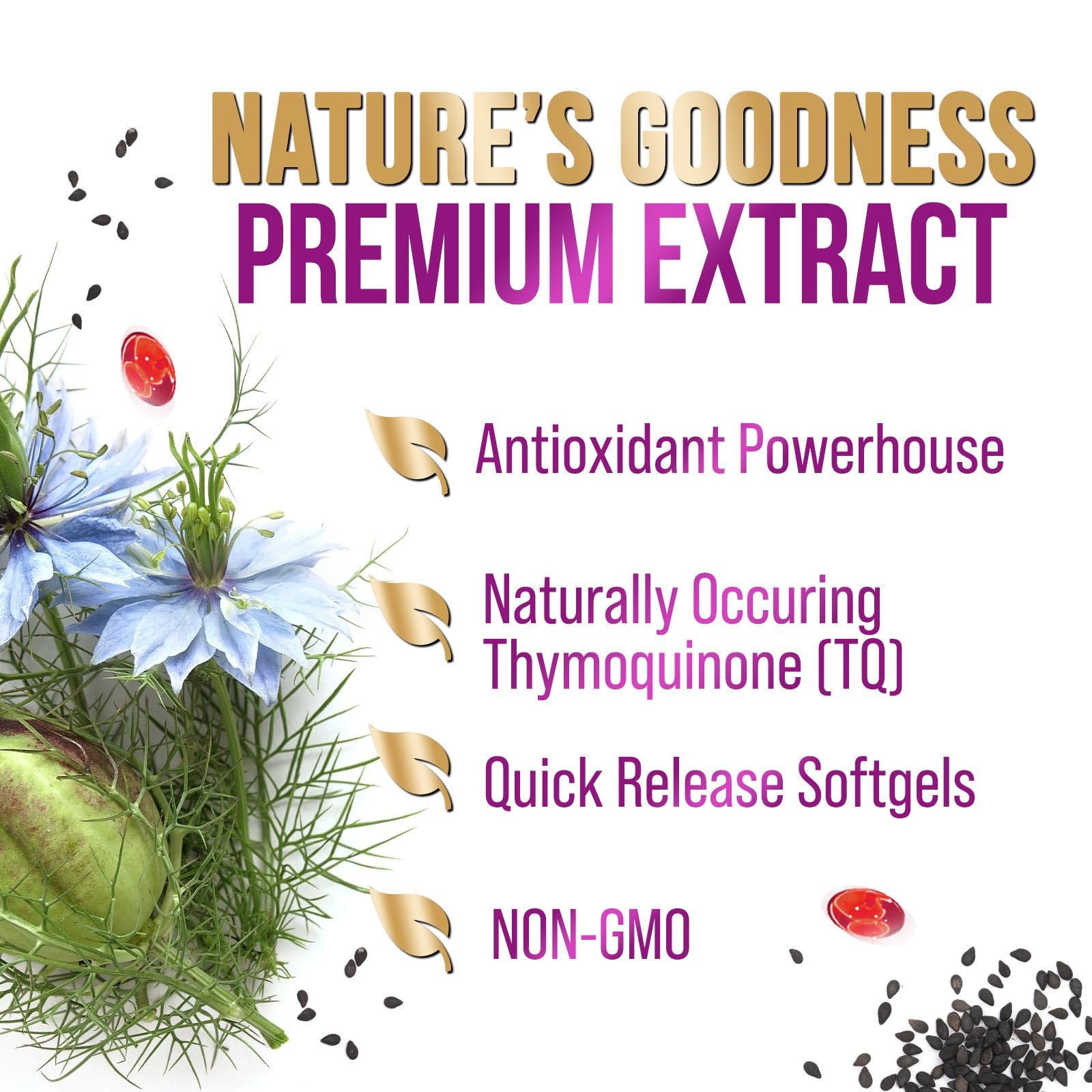 Immune support with premium black seed oil