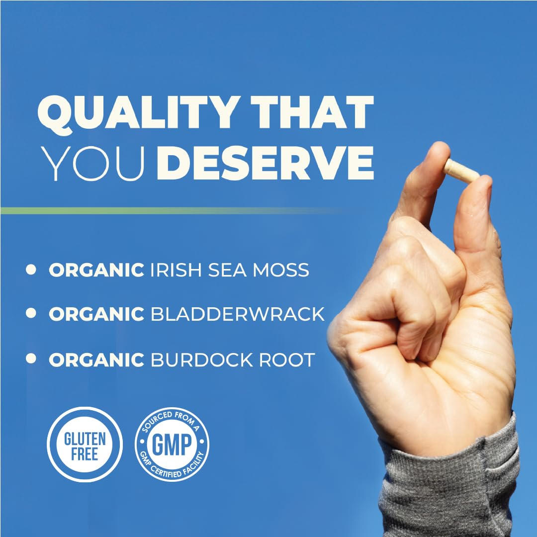 Bladderwrack powder visual with sea moss capsules