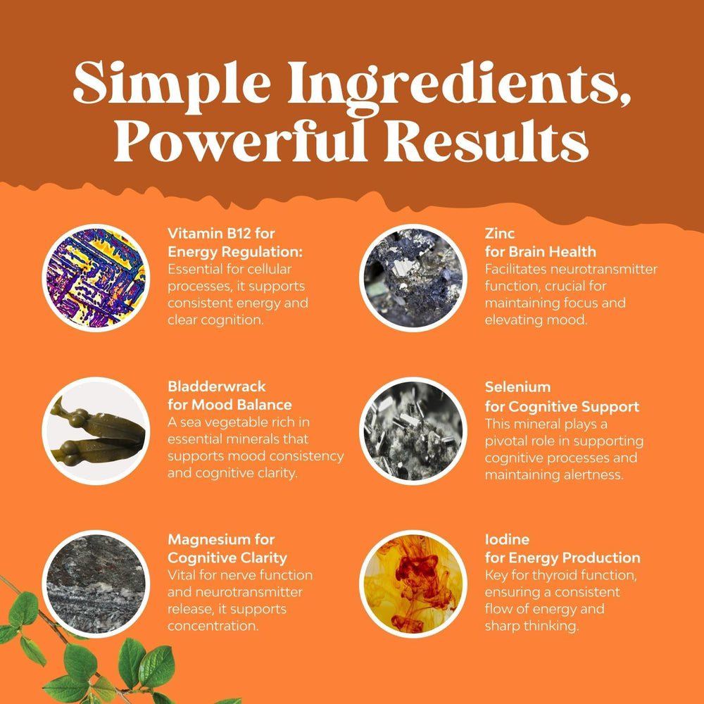 Bladderwrack seaweed used in the formula