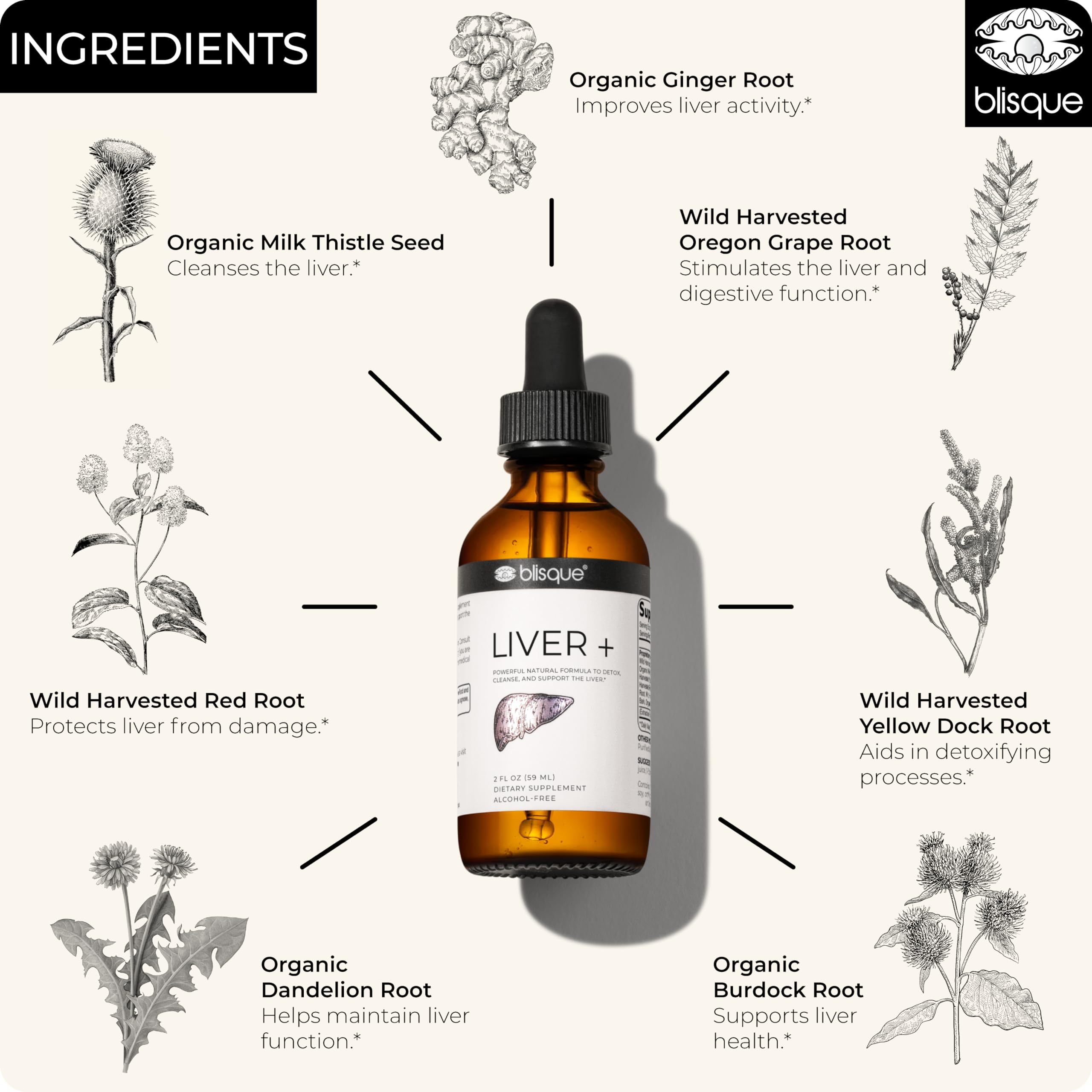 Ingredients of Blisque Liver Complex including milk thistle and dandelion root