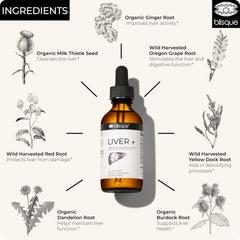 Ingredients of Blisque Liver Complex including milk thistle and dandelion root