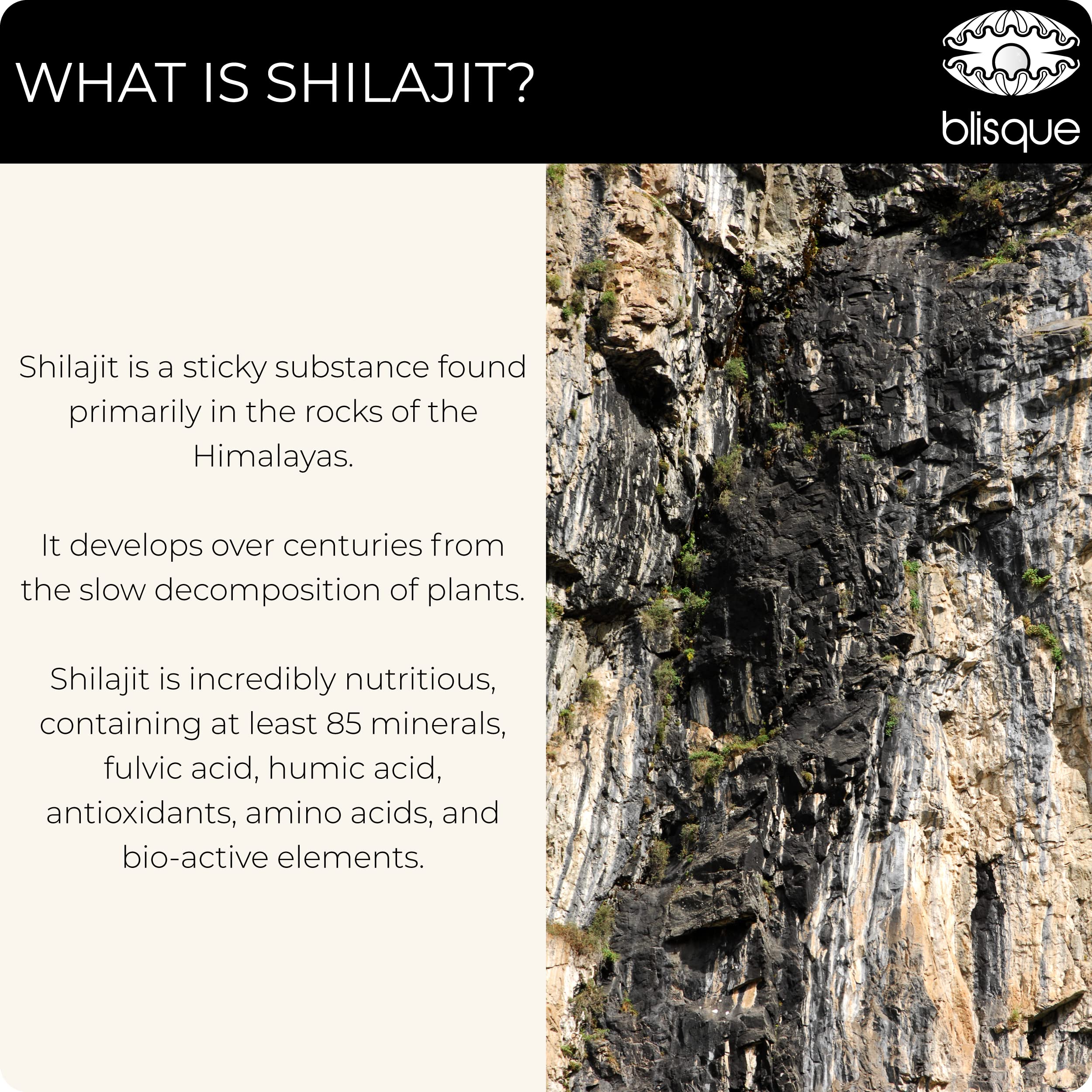 Authentic natural Himalayan shilajit resin
