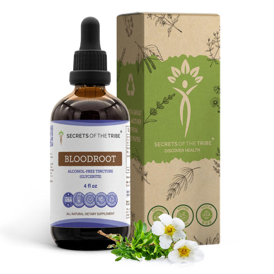 Bloodroot Alcohol-Free Tincture bottle with 4 oz label