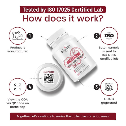 Reishi capsules label showing potency and ingredients