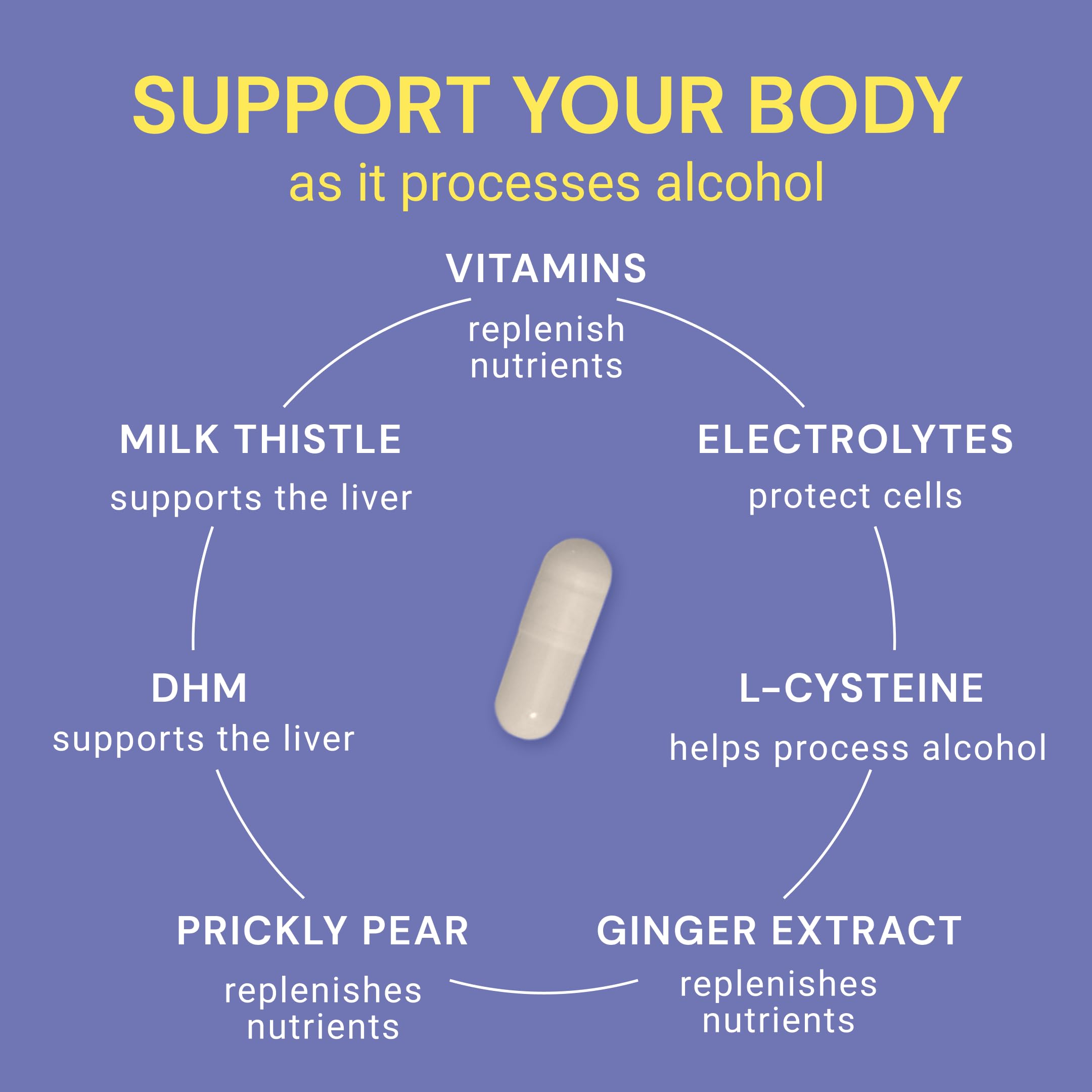 Blowfish Wingman L-Cysteine ingredient closeup emphasizes antioxidant defense and detox support.