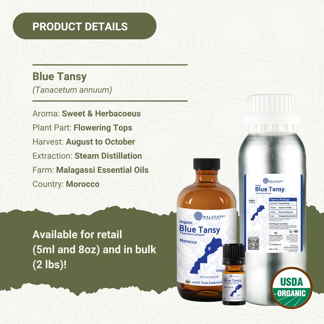 Blue Tansy oil used as face oil application