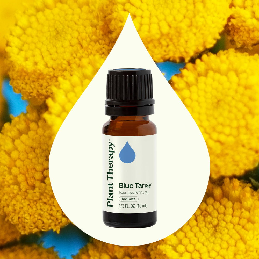 Diffuser with Blue Tansy essential oil aroma