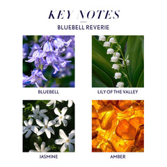 Close-up of Bluebell Reverie diffuser oil with bluebell notes