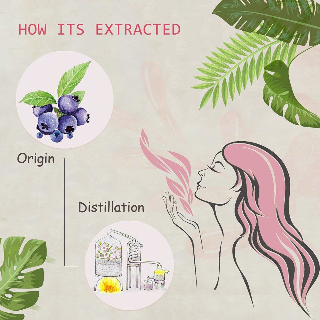 Blueberry essential oil extracted from the berry's sarcocarp and peel