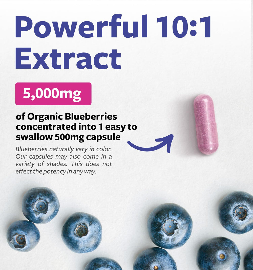 Close-up of capsules with high-potency blueberry extract