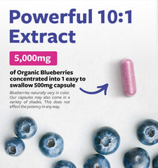 Close-up of capsules with high-potency blueberry extract