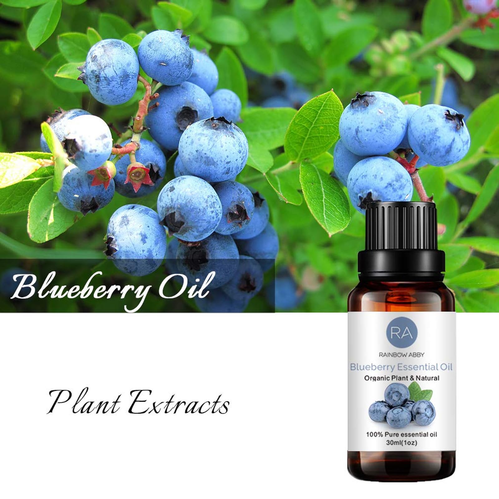Blueberry oil used in diffuser for aroma