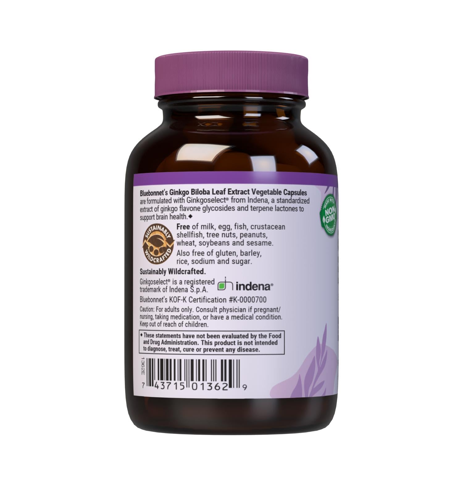 Brain health and vegan friendly labeling for BlueBonnet Ginkgo Biloba supplement