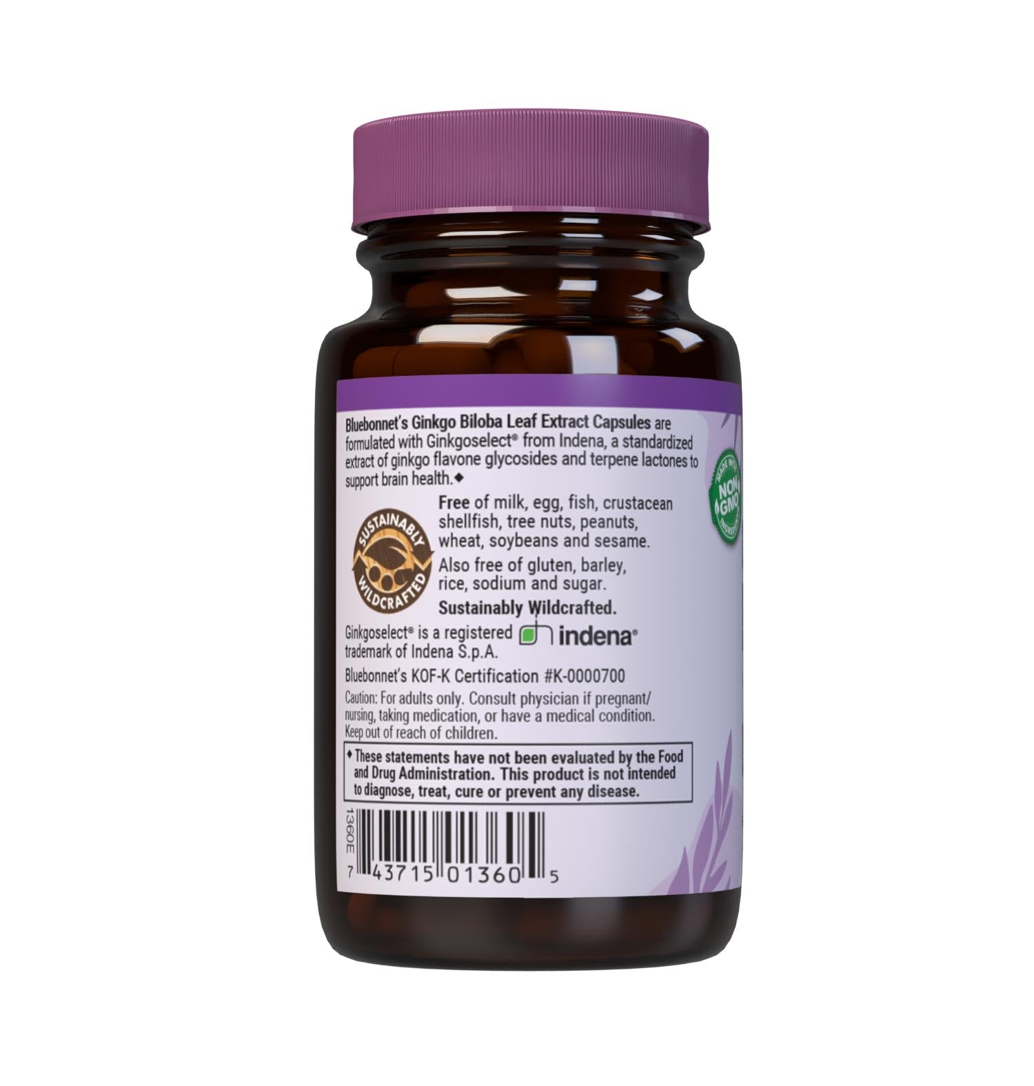 BlueBonnet Ginkgo Biloba Leaf Extract Supplement bottle with 30 servings