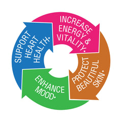 Active Coenzyme B vitamins and energy/vitality blend