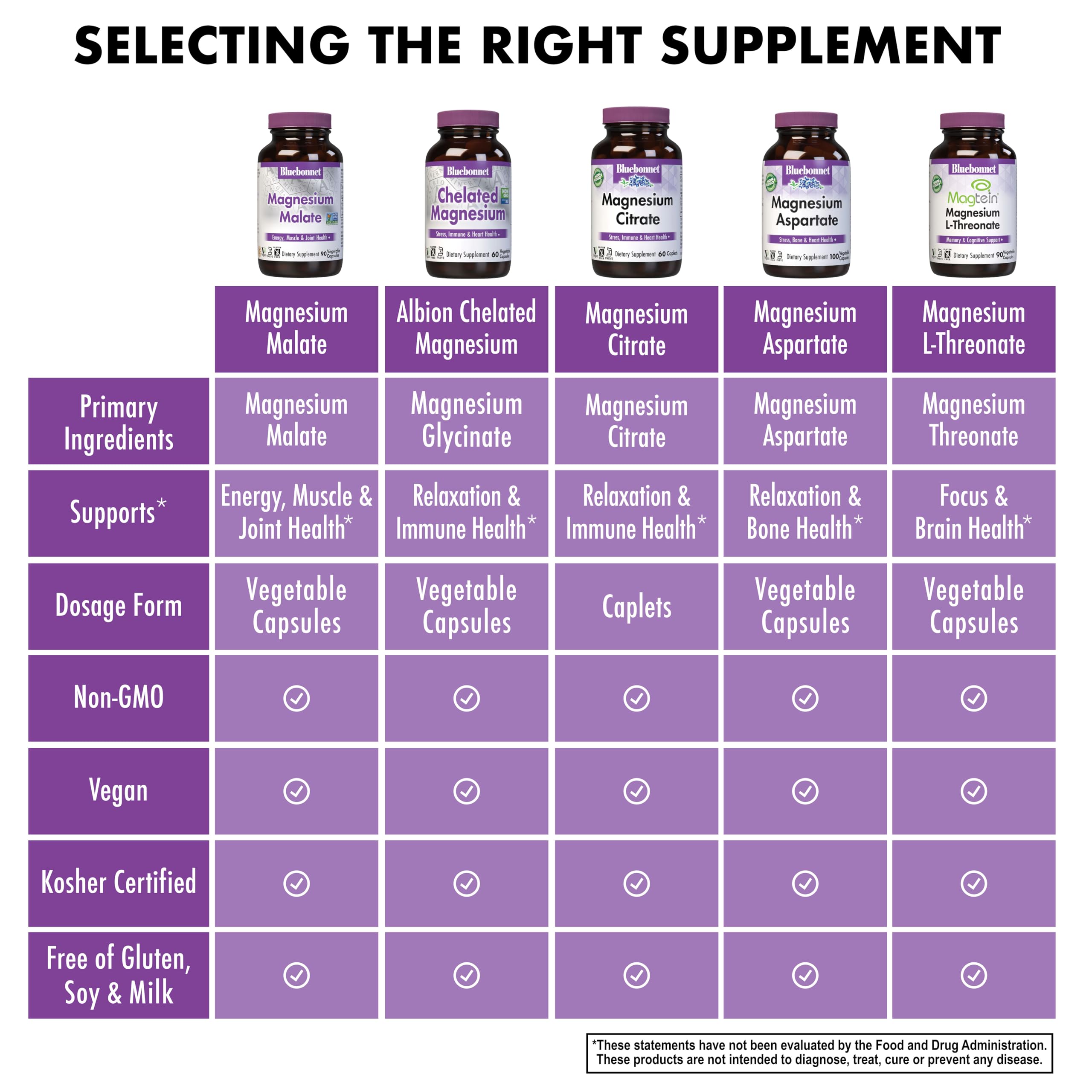 Magnesium Malate absorption concept