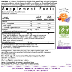 Animal-shaped Vitamin C chewables in orange flavor