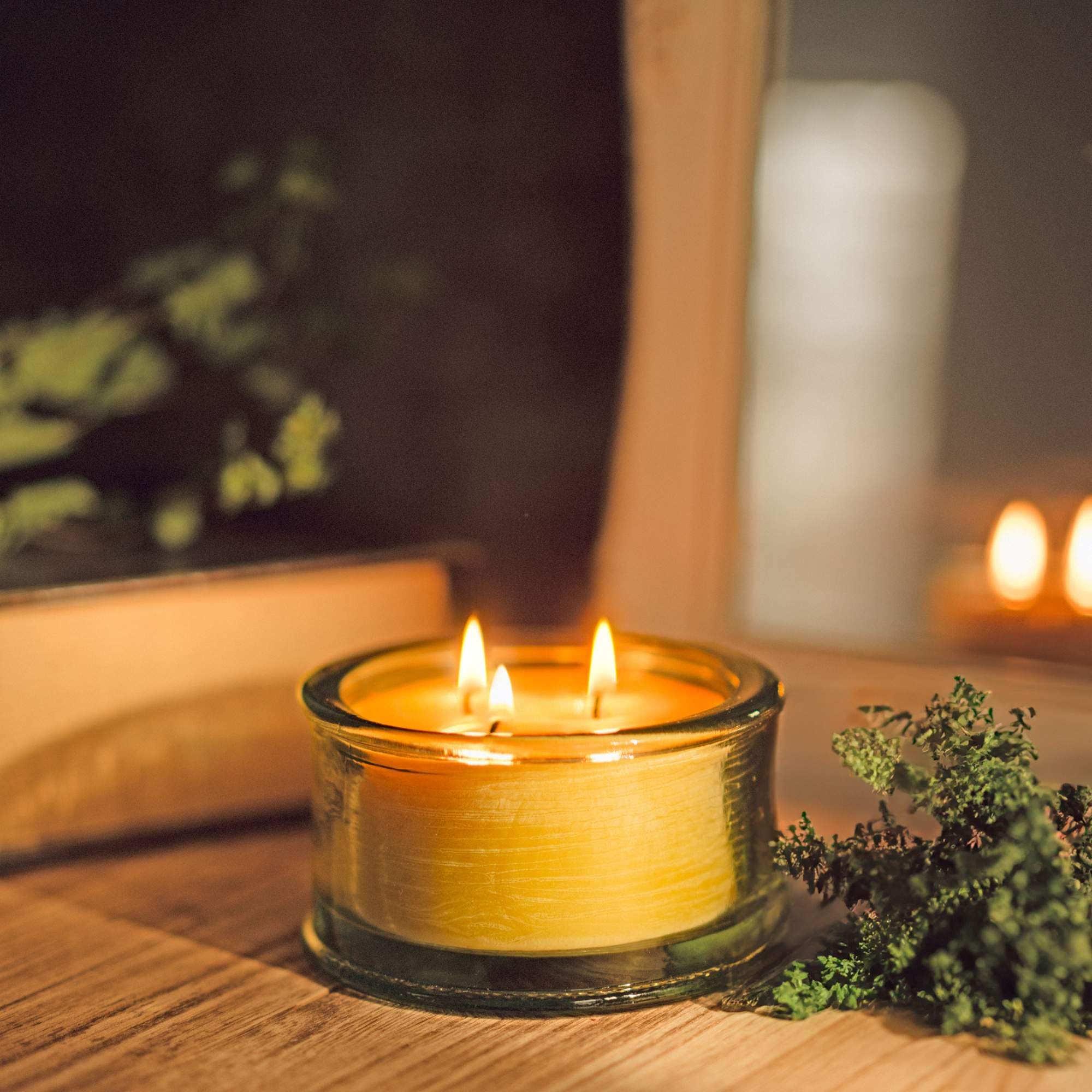 Close-up of three cotton wicks in a beeswax candle