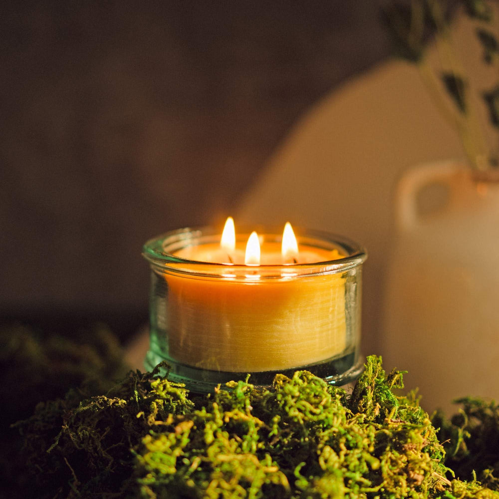 Rustic holiday decor with spruce beeswax candle