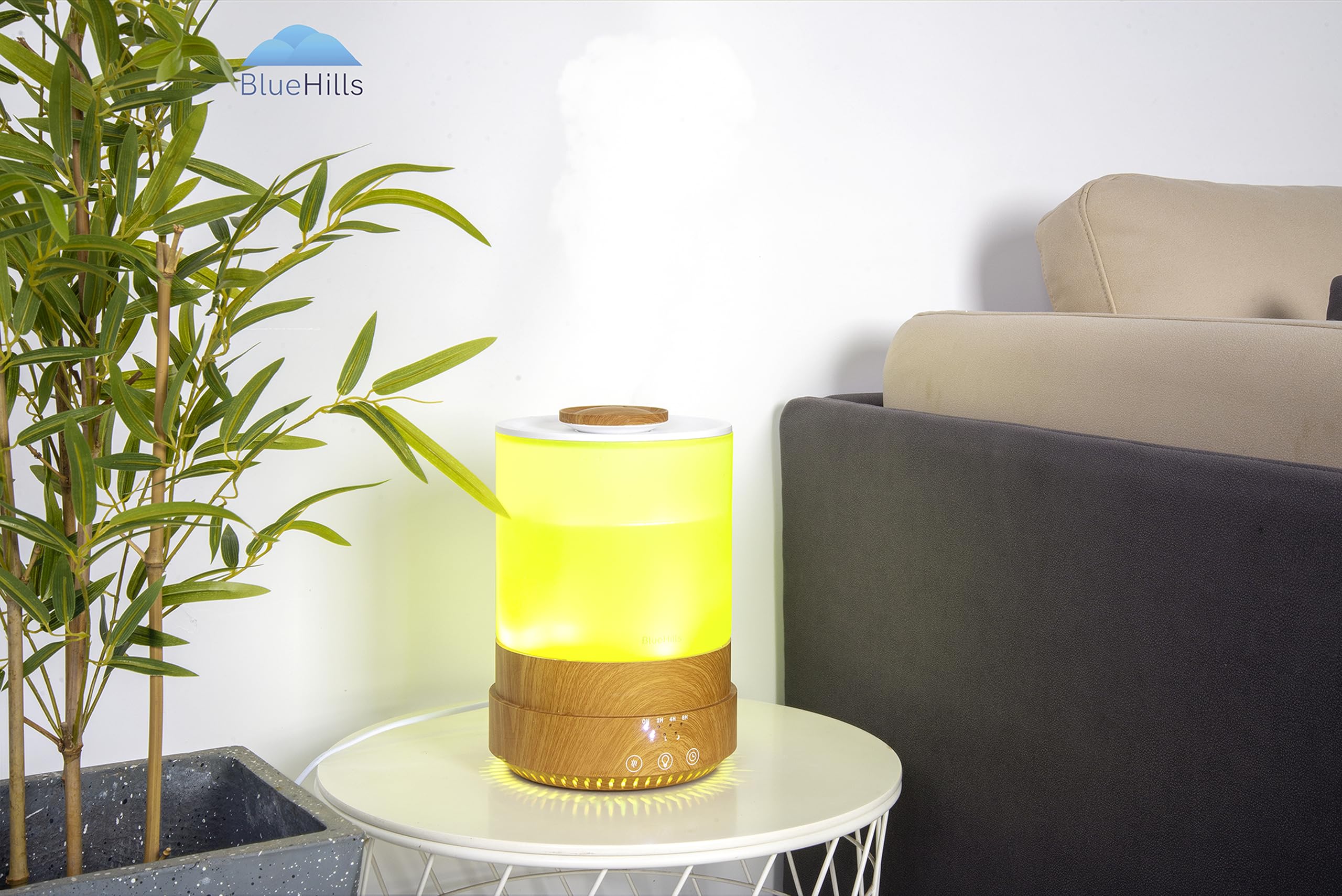 BlueHills diffuser packaging box