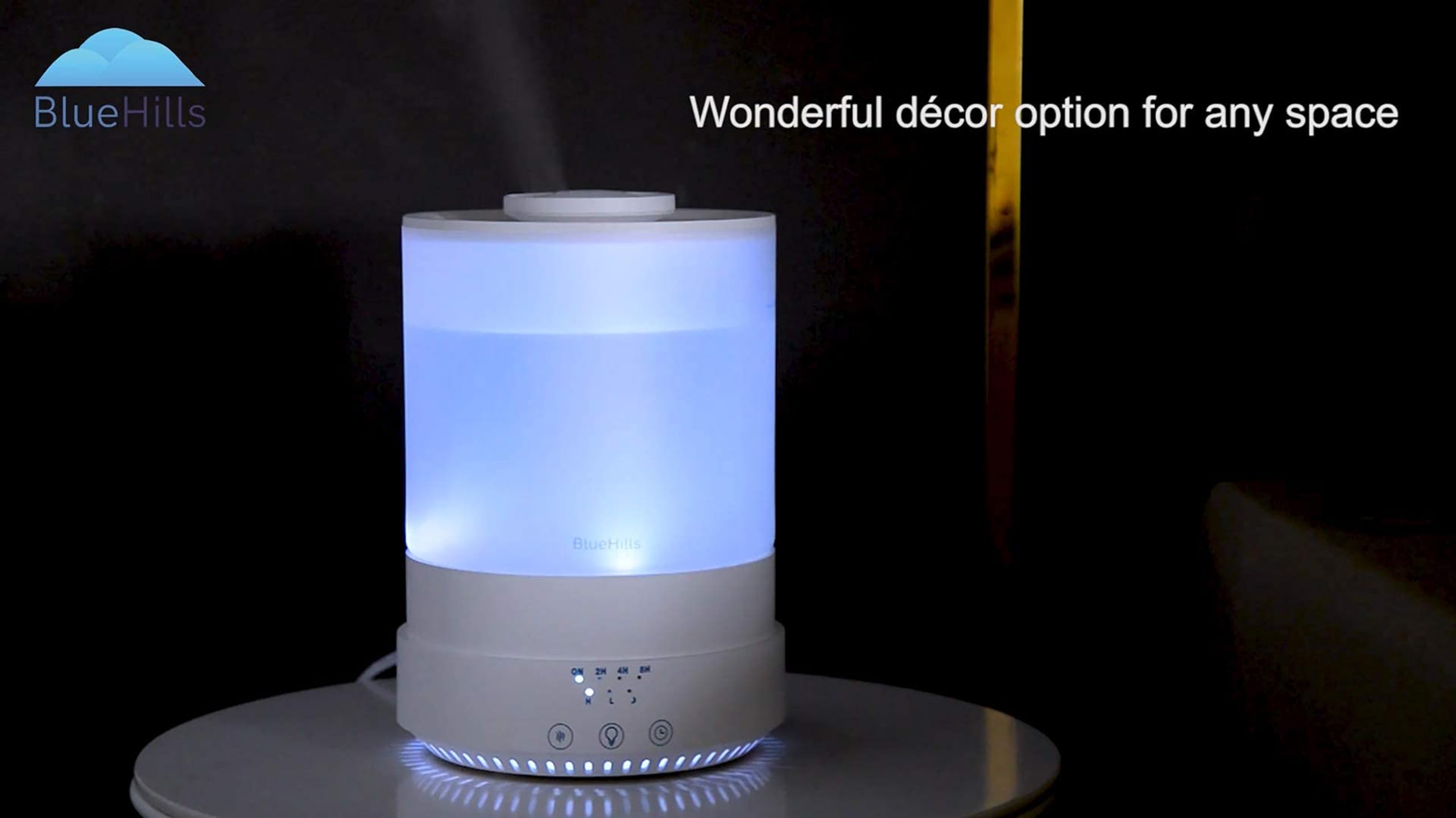 Adjustable mist output and mist modes on the diffuser